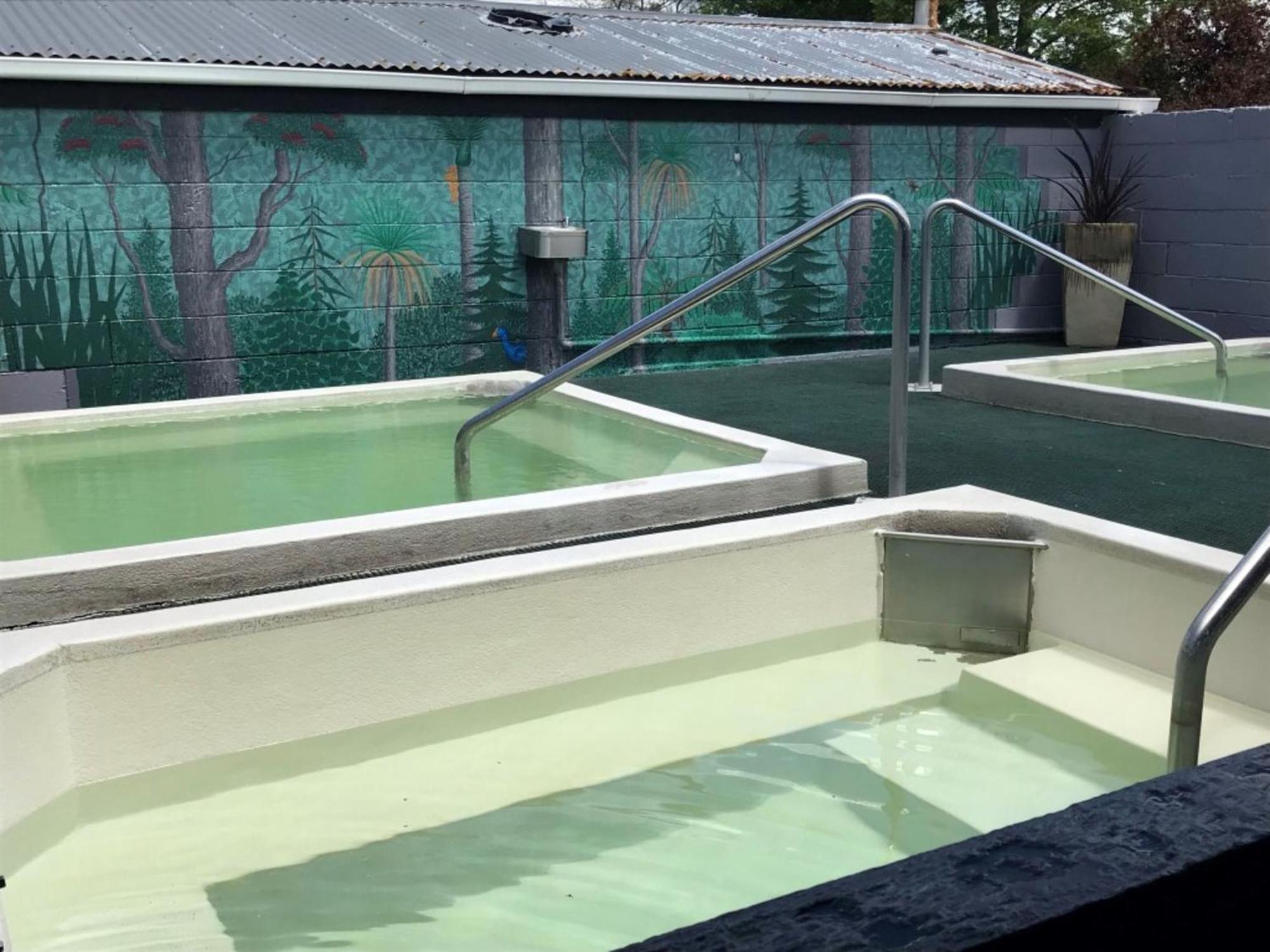 Rotorua Thermal Holiday Park Экстерьер фото